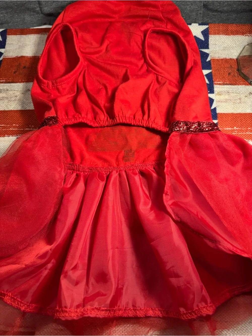 Red 'Best Gift Ever' Dog Holiday Tutu Dress